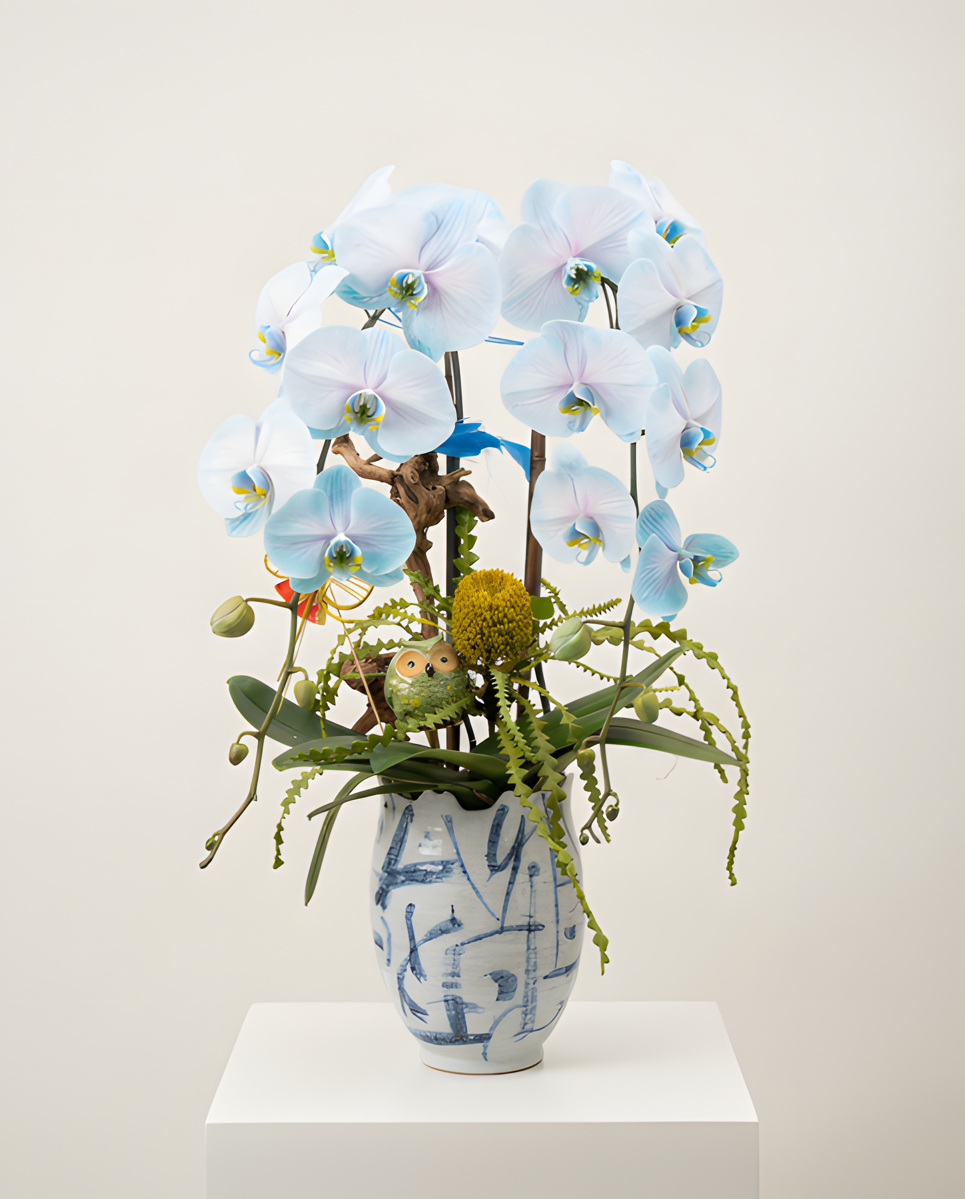 藍紫祥瑞・智慧福來青瓷蘭