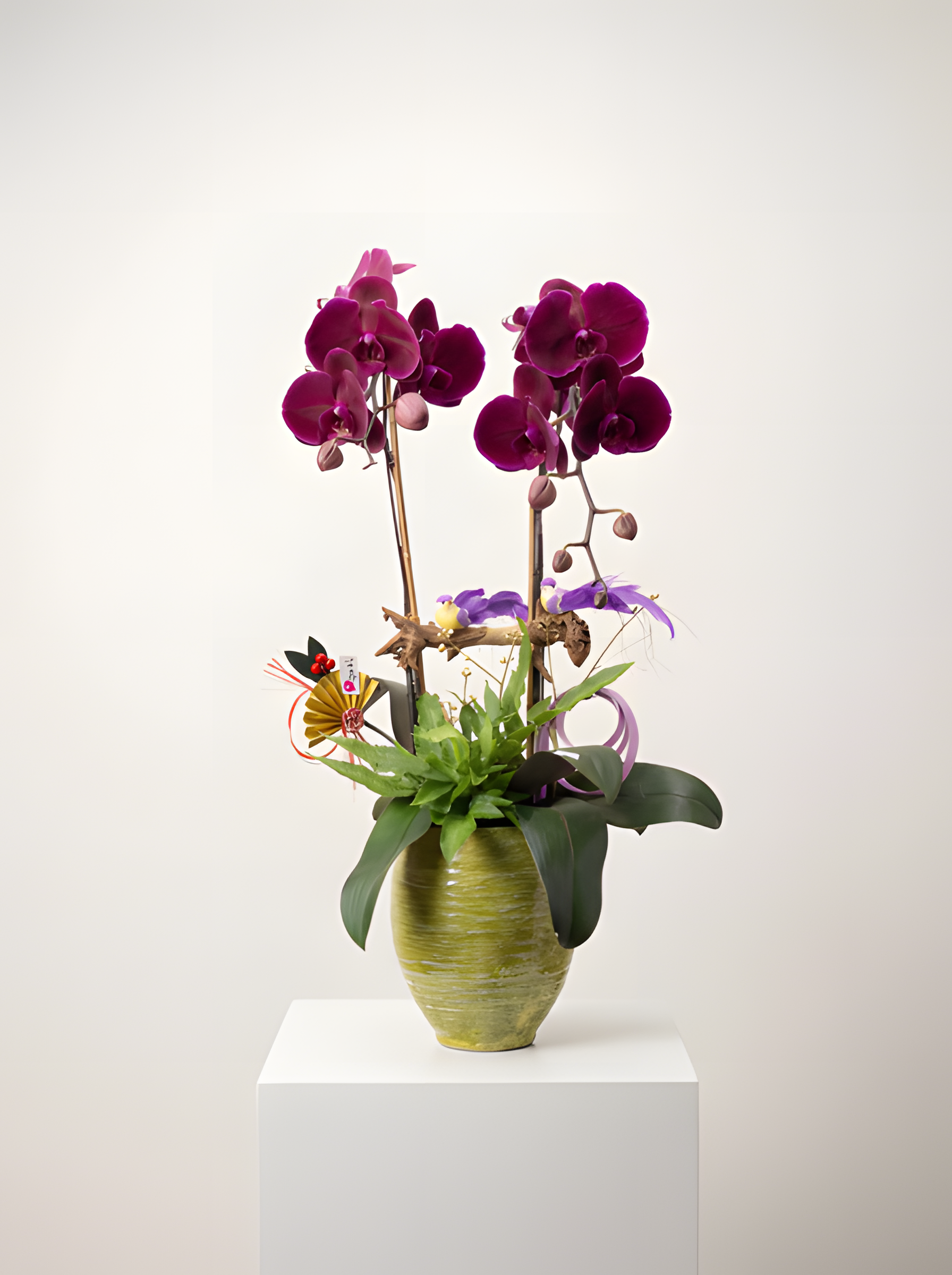 鴻運當頭・尊爵紫紅蘭