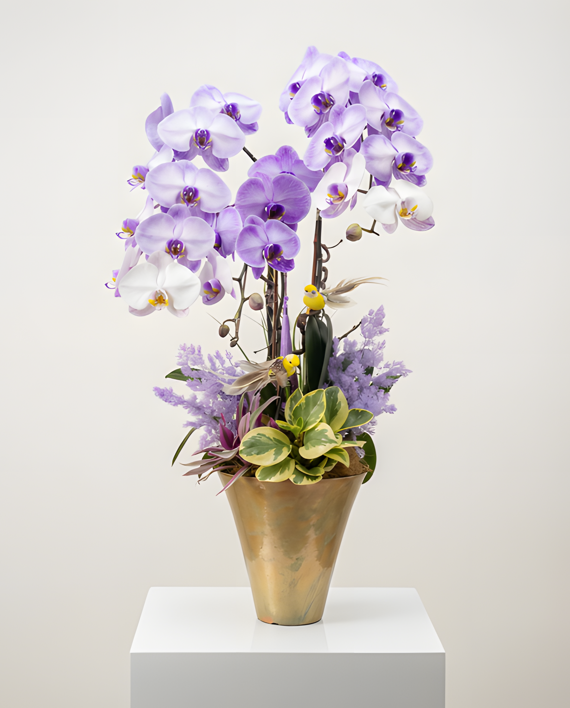 花開富貴・夢幻淡紫蘭