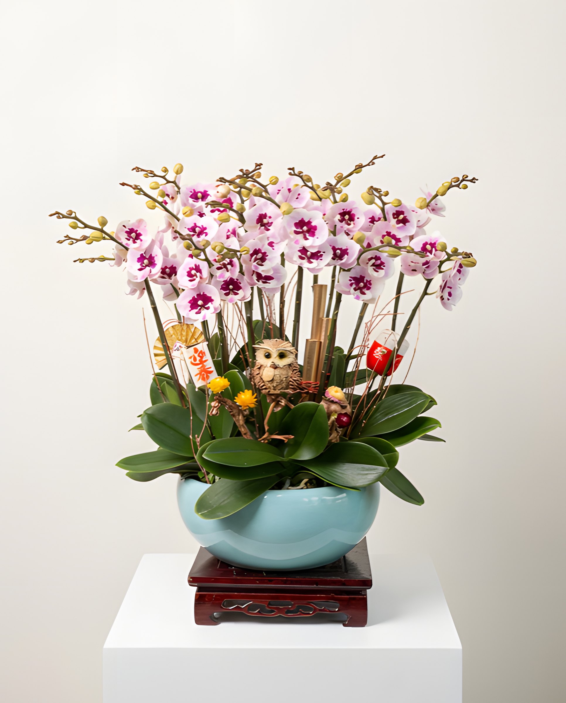 天賜良緣・俏麗粉紅蘭